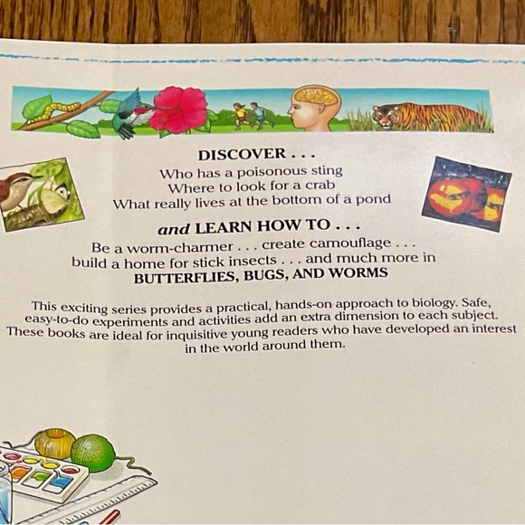 Painting Nature’s Little Creatures & Butterflies, Bugs & Worms BOOKS set - Picture 11 of 13